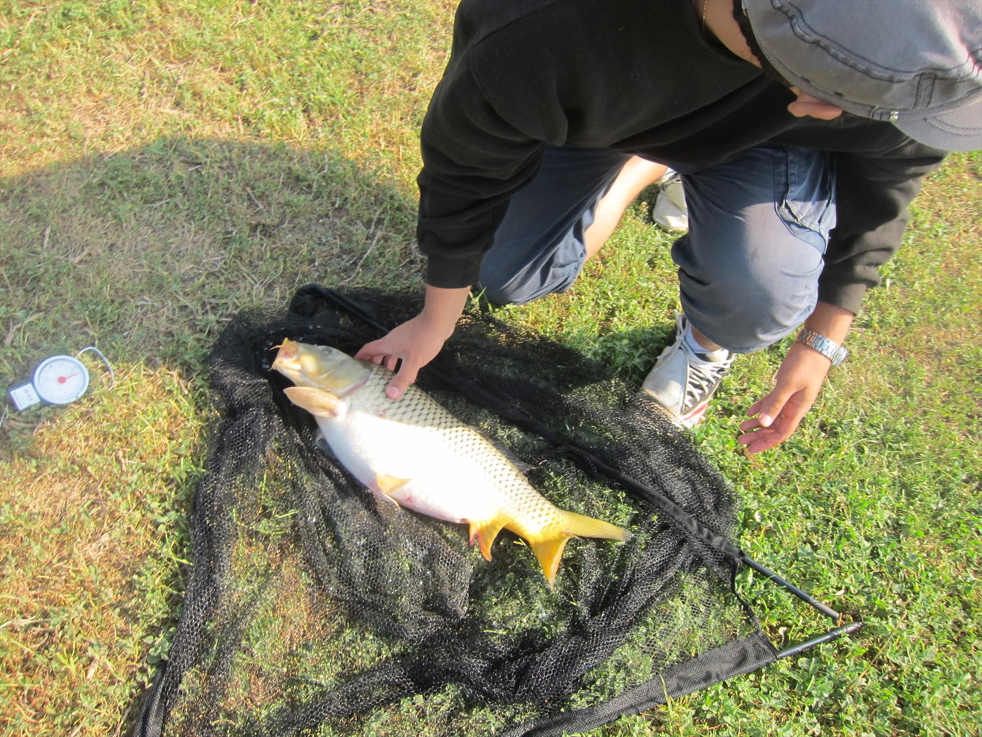 Solacolu - mai 2012 - img2339.JPG